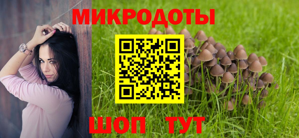Галлюциногенные грибы Psilocybine cubensis Челябинск
